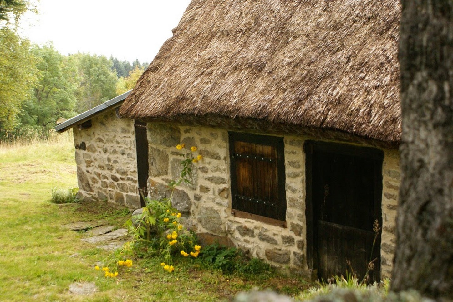 Puy de Dôme (63): Authentic Old Houses