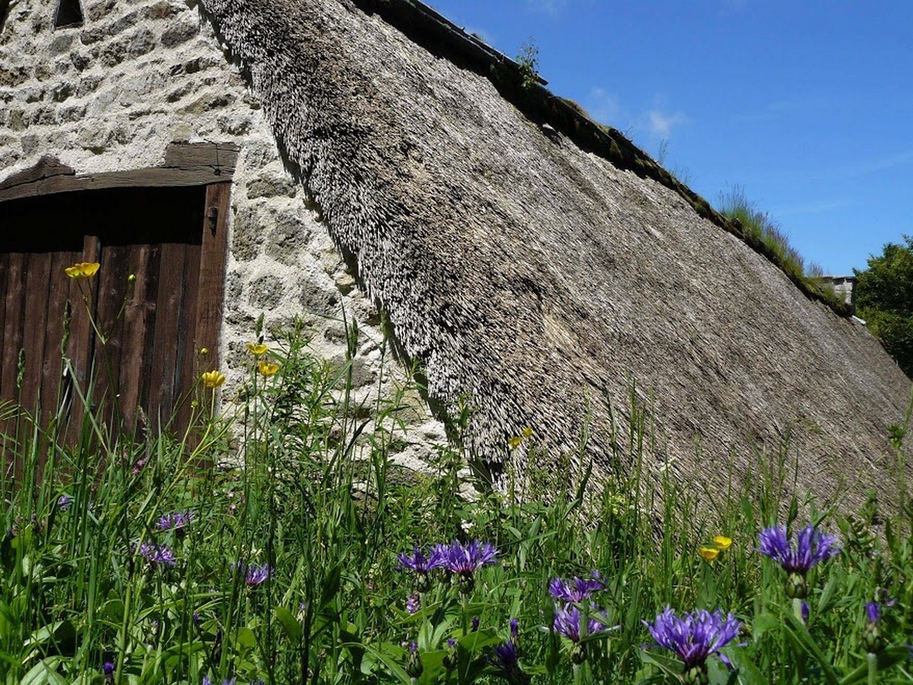 Puy de Dôme (63): Heritage of Old Houses