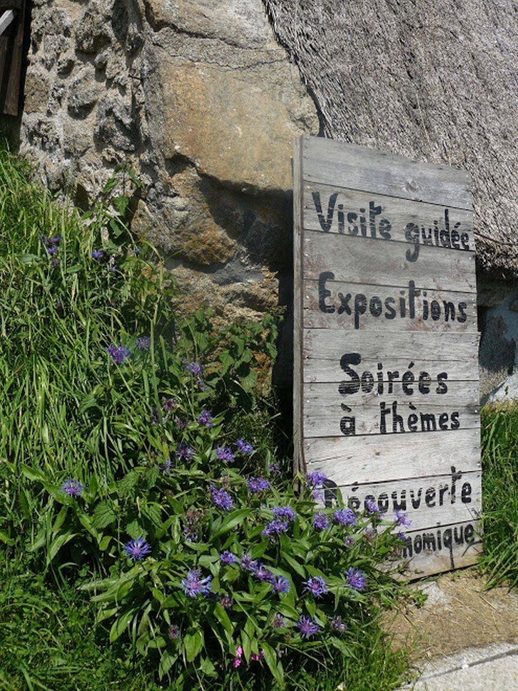 Puy de Dôme (63): Thematic Evenings and Exhibitions