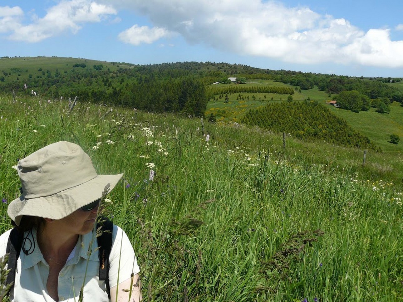 Puy de Dôme (63): Green meadows