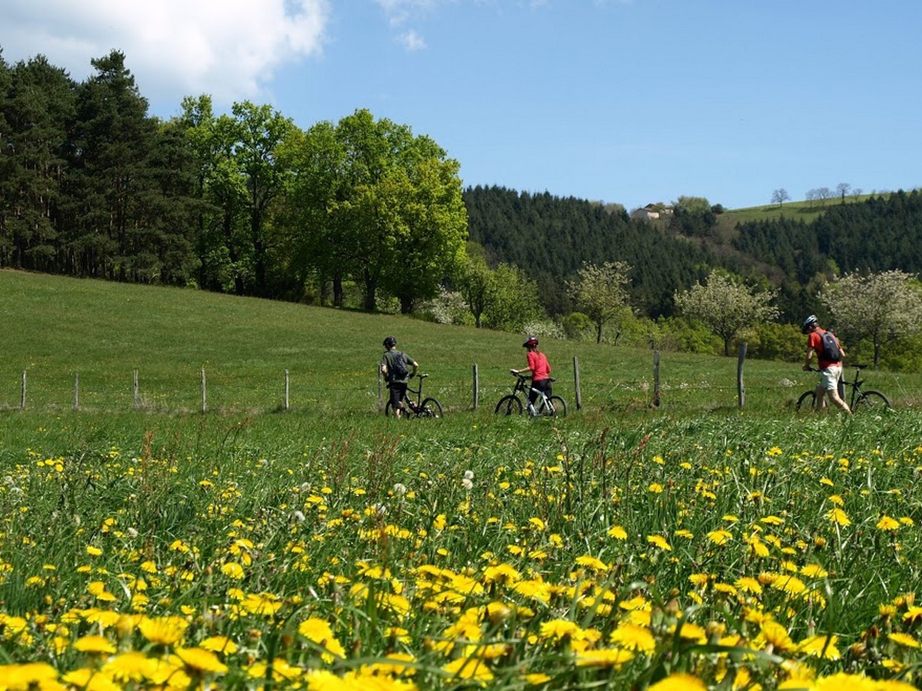 Puy de Dôme (63): Bike Ride and Magnificent Landscapes