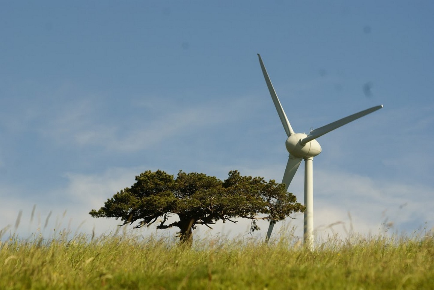 Puy de Dôme (63): Wind Energy - Propellers and Landscapes