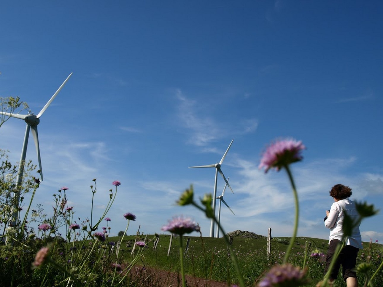 Puy de Dôme (63): Wind Energy and Green Landscapes