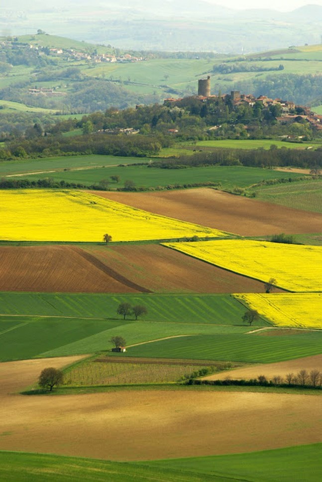 Puy de Dôme (63): Fields and Landscapes of Auvergne