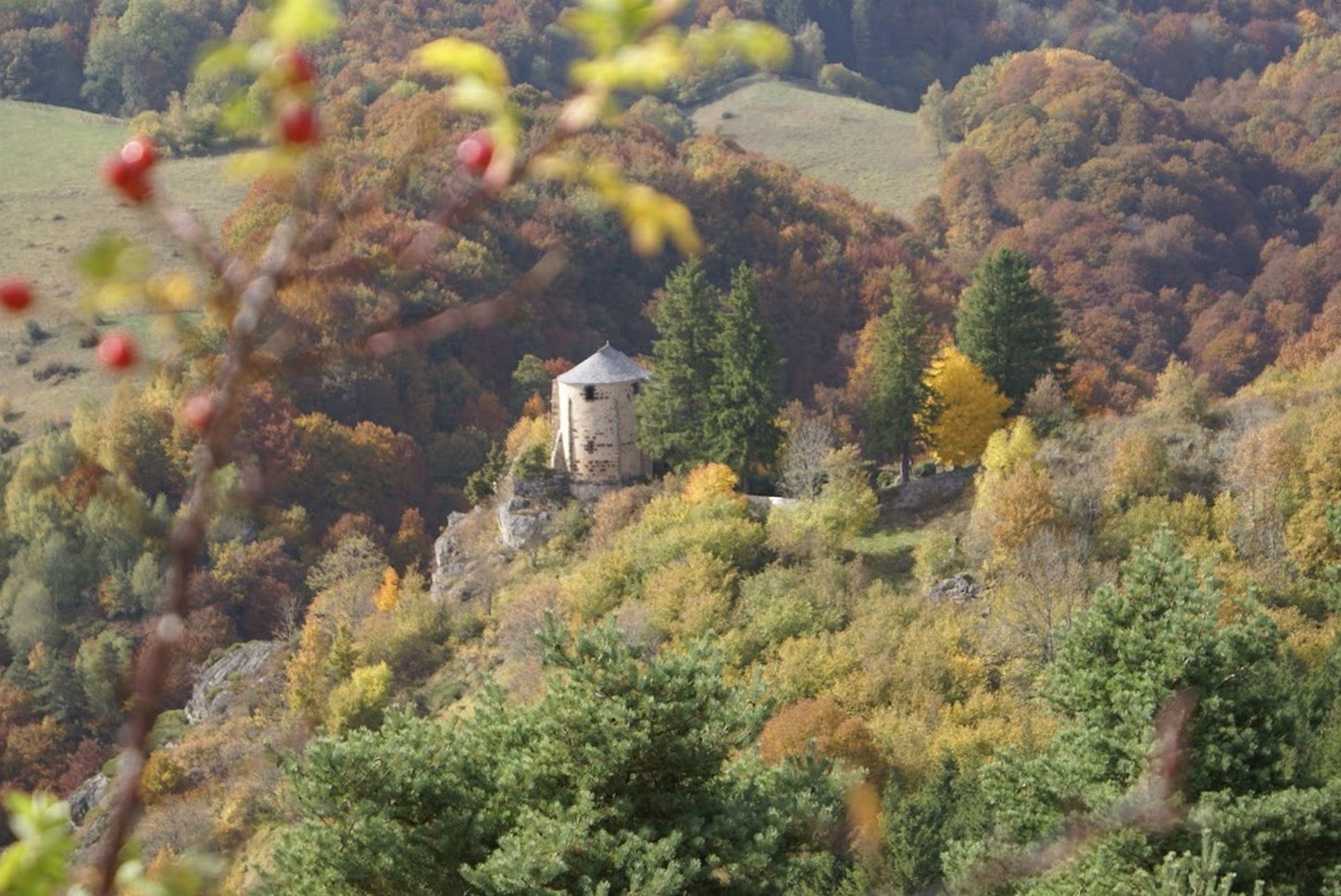 Puy de Dôme (63): The Magic of the Auvergne Forests