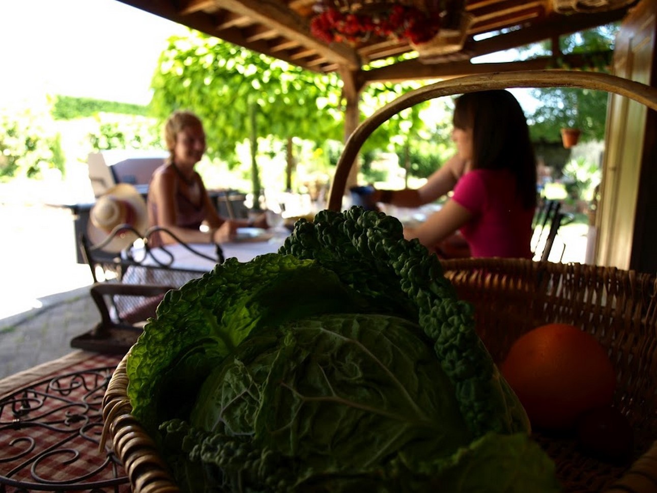 Puy de Dôme (63): Seasonal Delights - Fresh Restaurant Vegetables