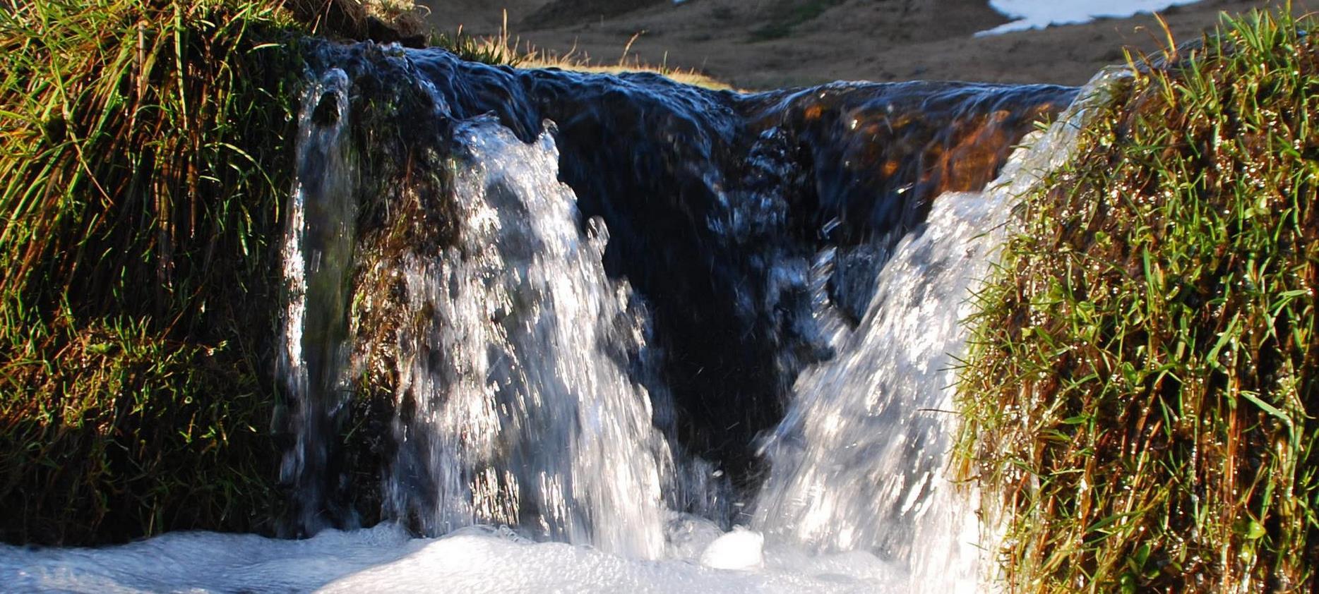 Sancy massif: Val de Courre stream, Source of the Dordogne