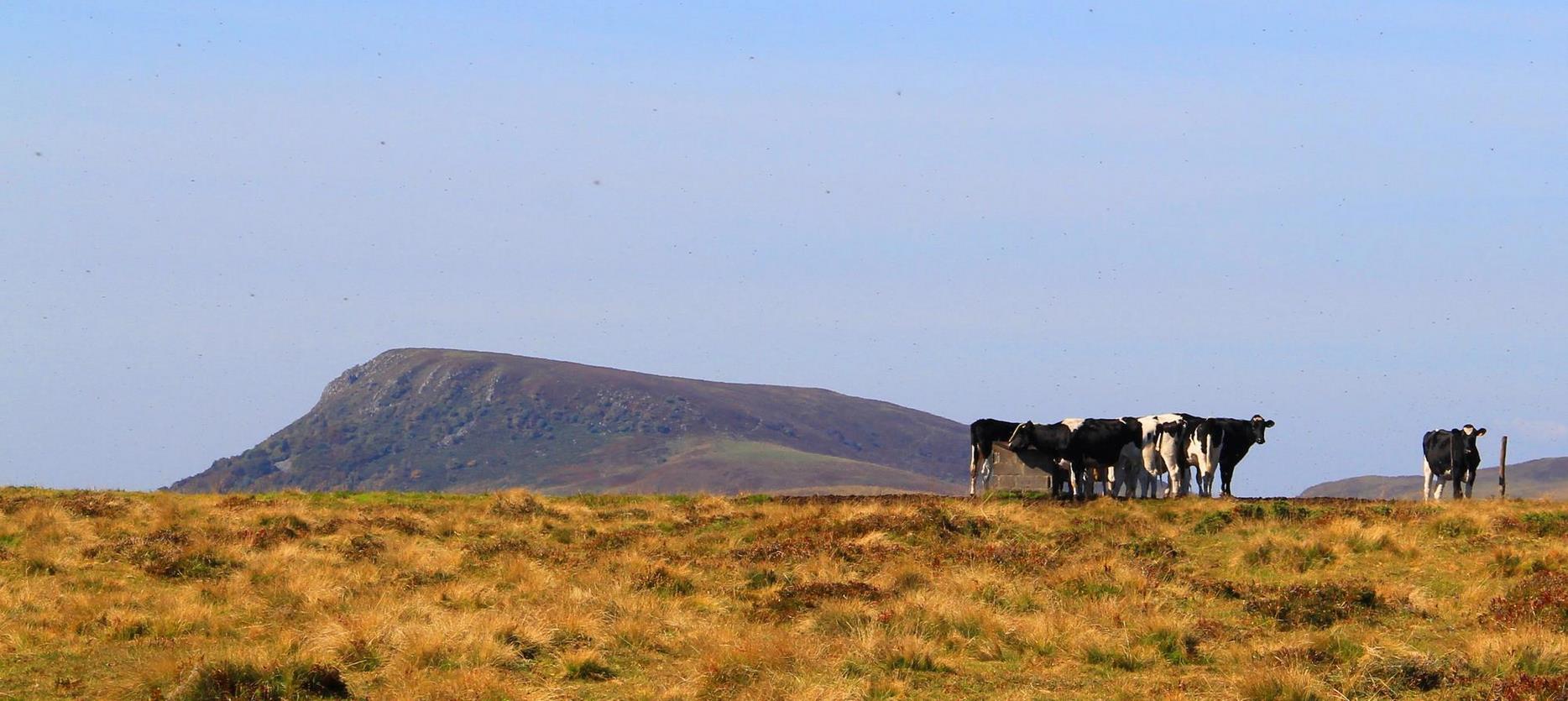 Massif Central: Estives, Landscapes of Yesteryear and Traditional Herds