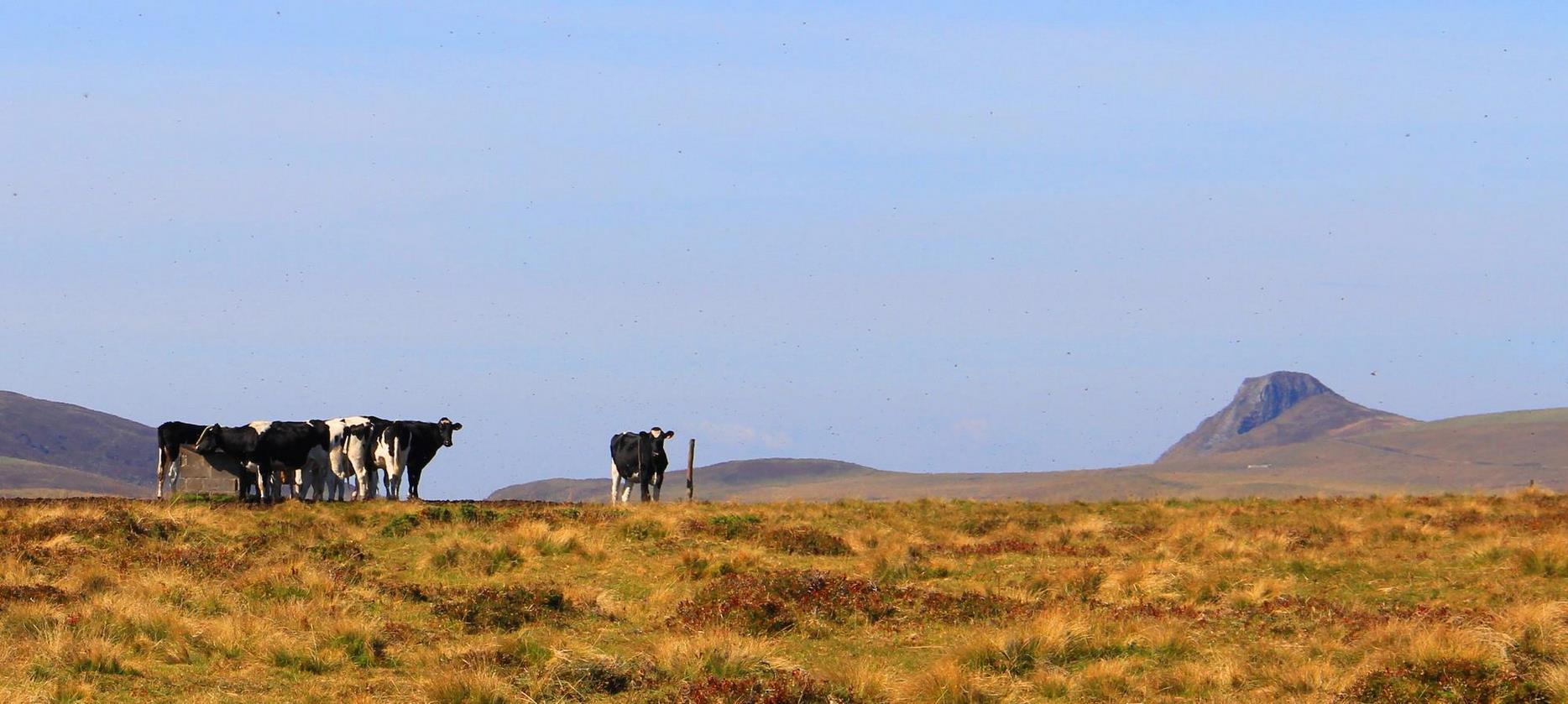 Puy de Dôme: Estives, A Timeless Pastoral Landscape