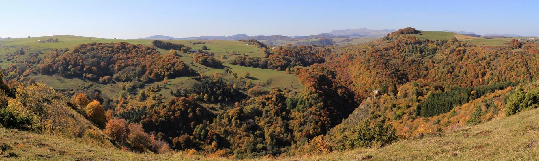 Forests of the Sancy Massif: Natural Resources, Walks and Walks