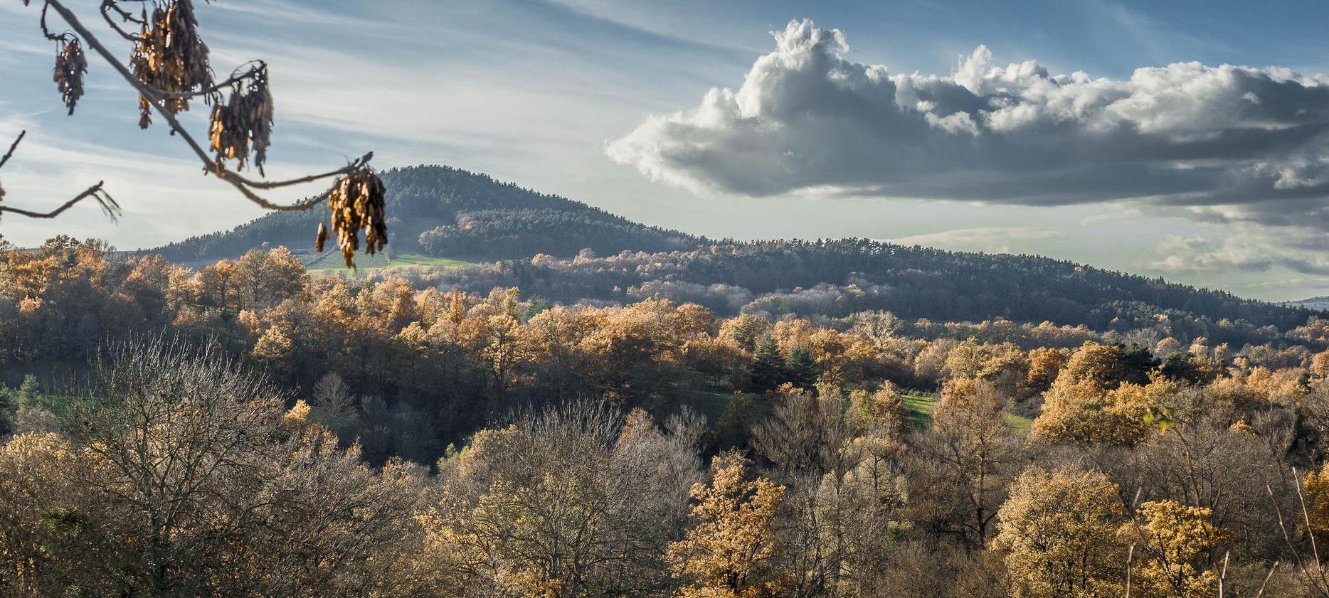 Chaîne des Puys: Volcanic Treasure of Auvergne, A Unique Landscape