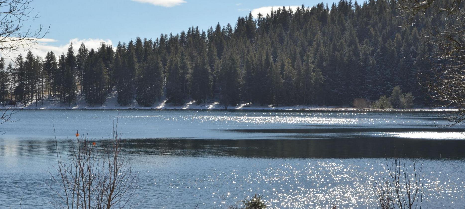 Sancy Massif: Serene Lake Near the Forest, Enchanted Nature