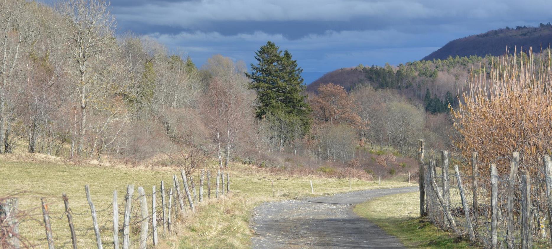 Puy-de-Dôme : Campagne d'Auvergne, Paysages Ruraux Authentiques et Charme Traditionnel