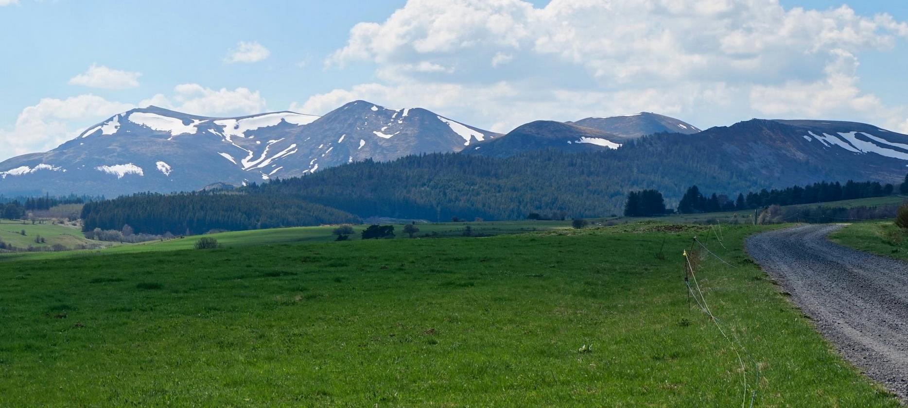 Sancy: Reviving Spring - Nature Awakens