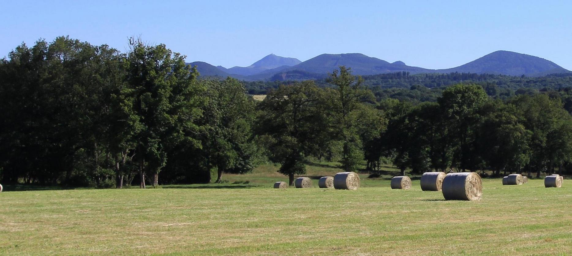 Sancy: Radiant Summer - Sun and Exuberant Nature