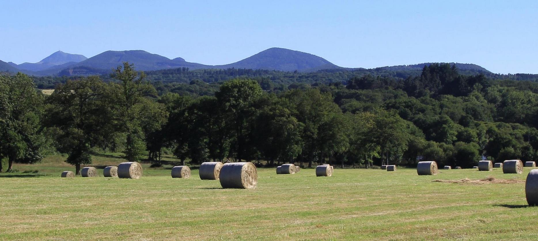 Sancy: Radiant Summer - Walk Under the Sun