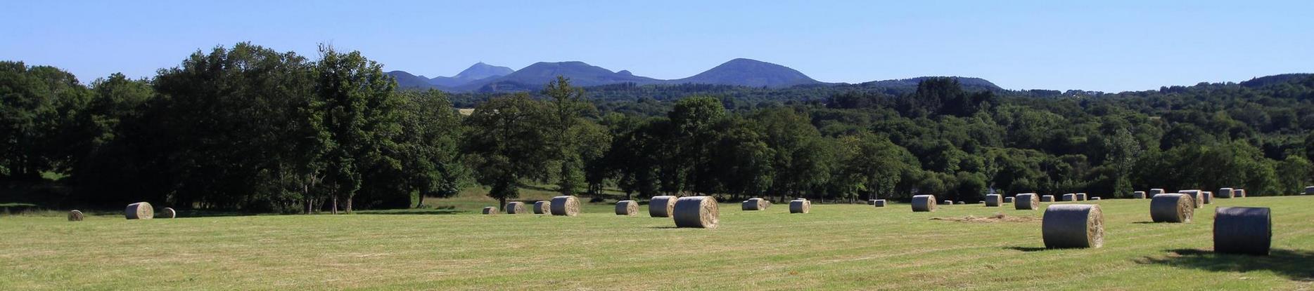 Sancy: Radiant Summer, Discovery of Nature and Outdoor Adventures