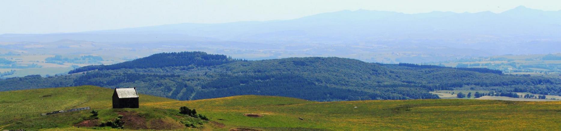 Sancy: Summer in the Mountains, Small Rustic Cabin and Exuberant Nature