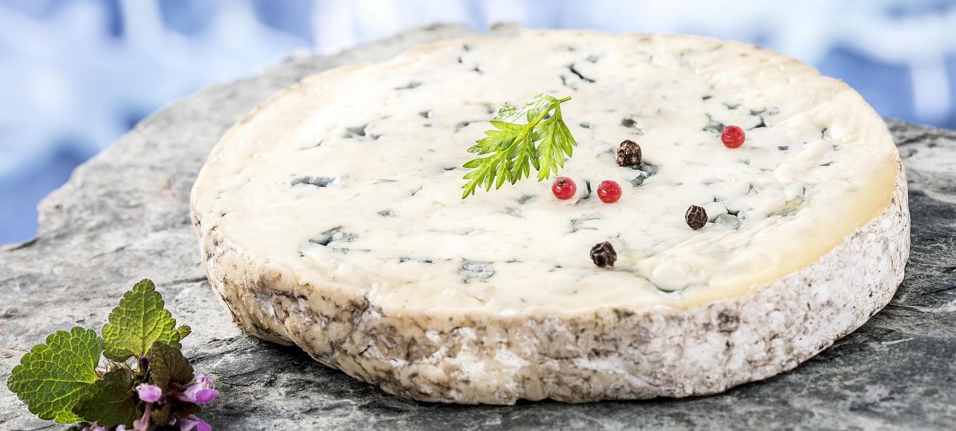 Fourme d'Ambert AOP: Discovery of the Flavors of Auvergne