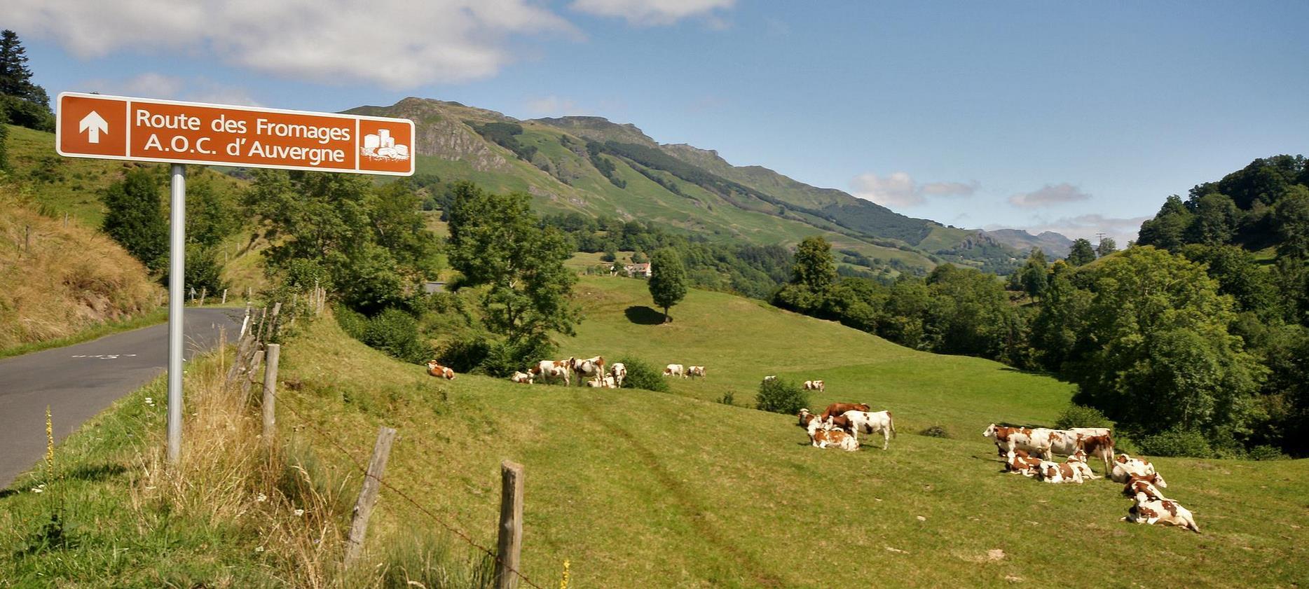 Auvergne Cheese Route - Destination: Mont Dore