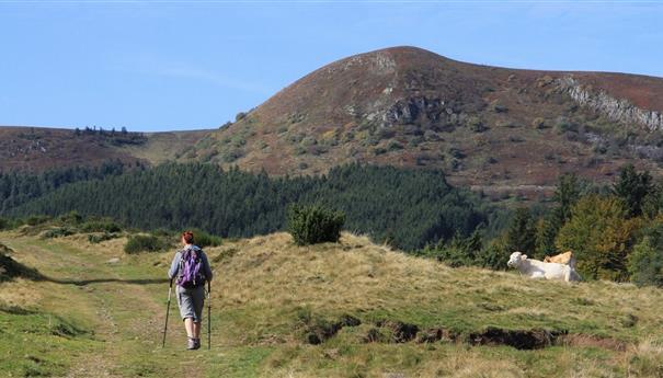 Sancy Natural Park - Hiker - Exceptional Discovery & Change of scenery