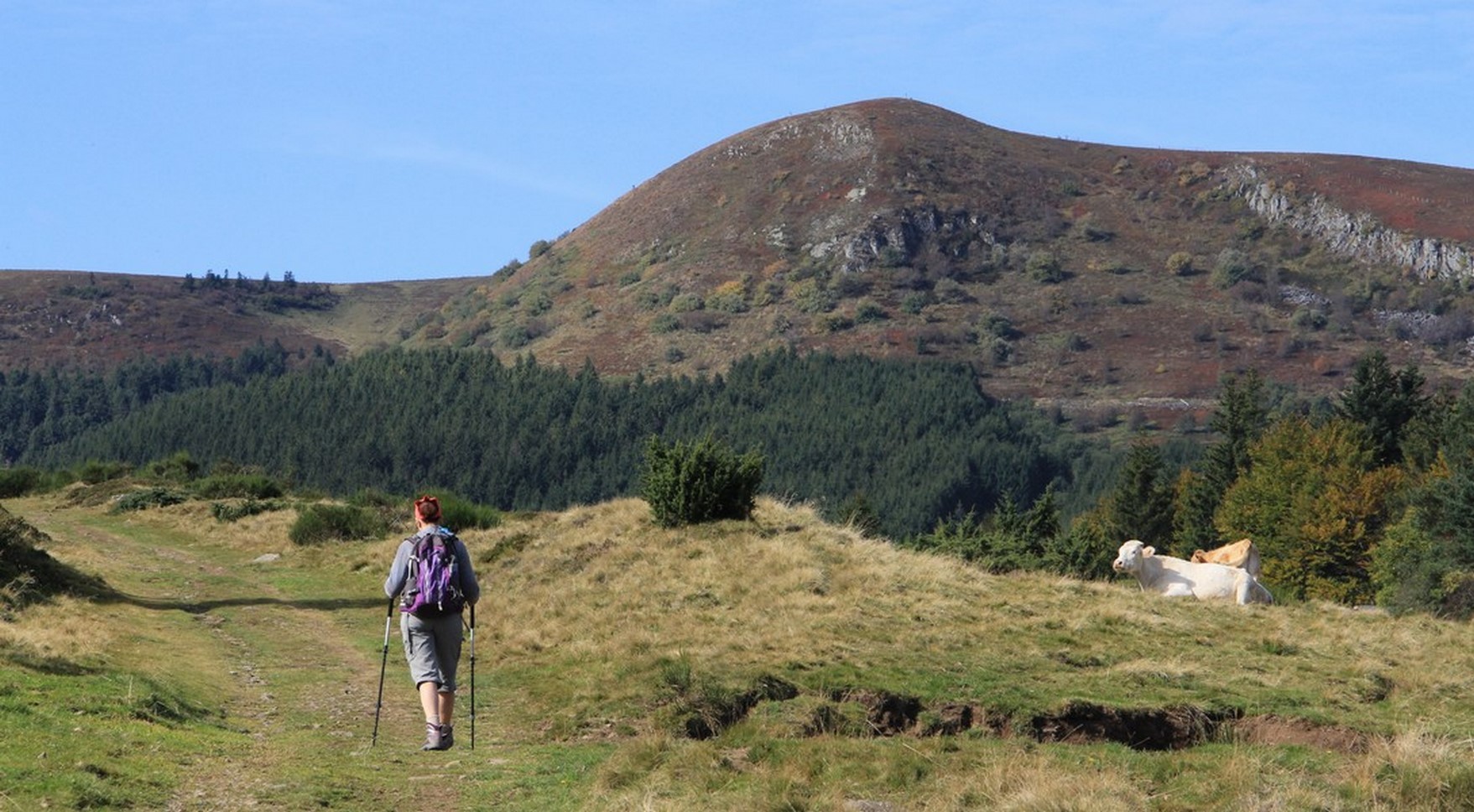 Sancy Natural Park - Hiker - Exceptional Discovery & Change of scenery