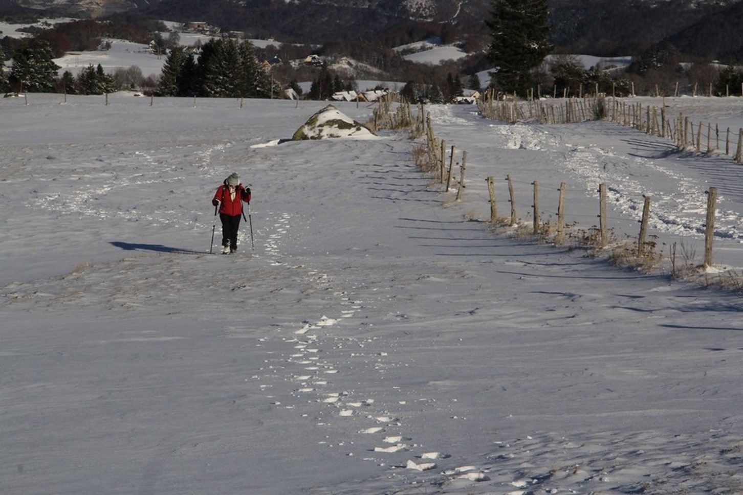 Sancy Massif - Snowshoeing - Exceptional Discovery & Change of scenery