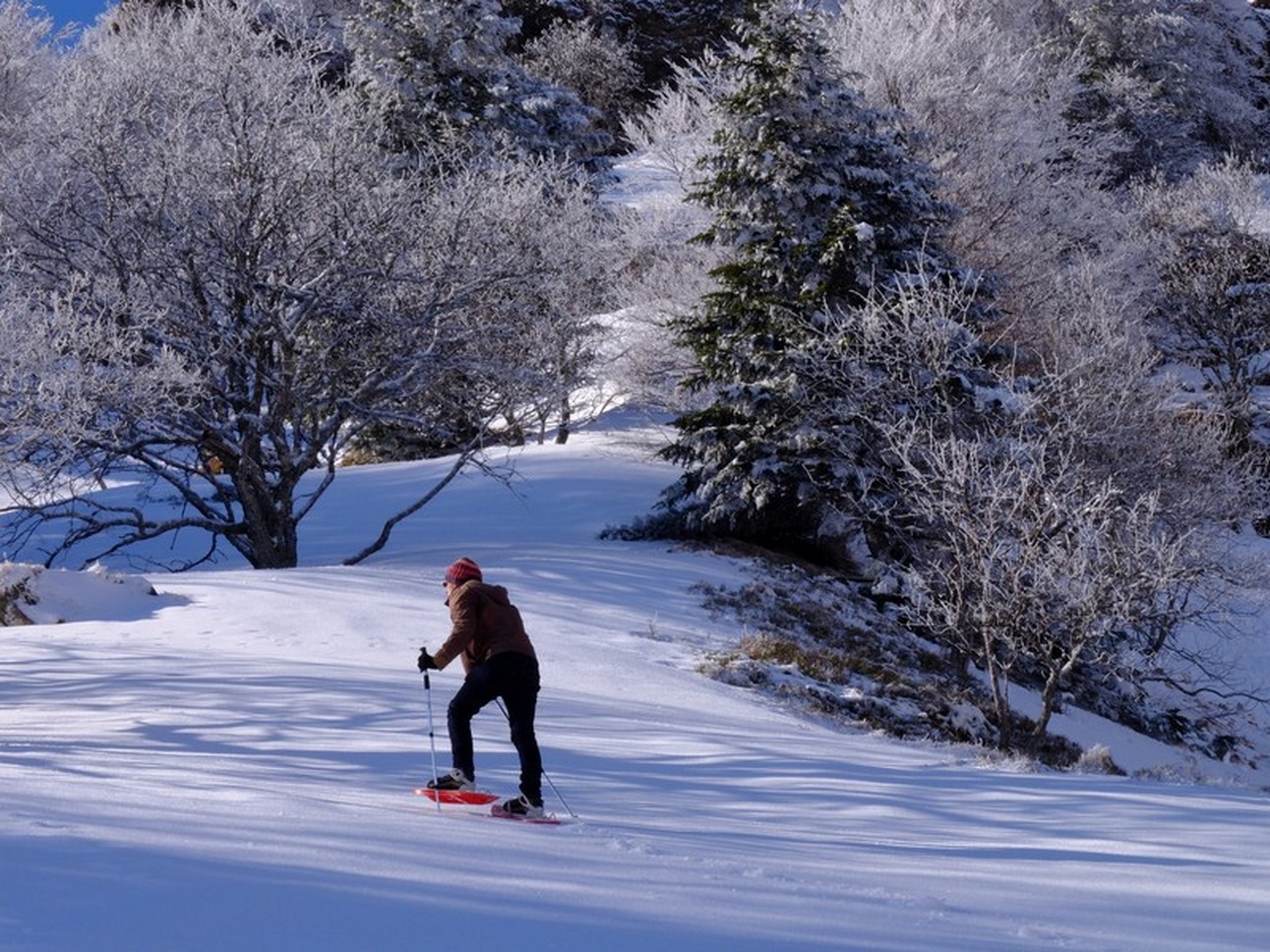 Sancy - Snowshoes Under the Snow - Exceptional Discovery & Magic