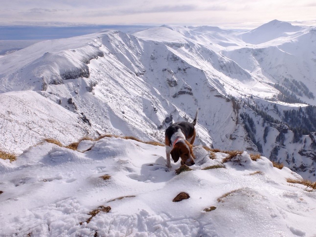 Sancy massif - Val de Courre - Mont Dore hike - Exceptional discovery & change of scenery