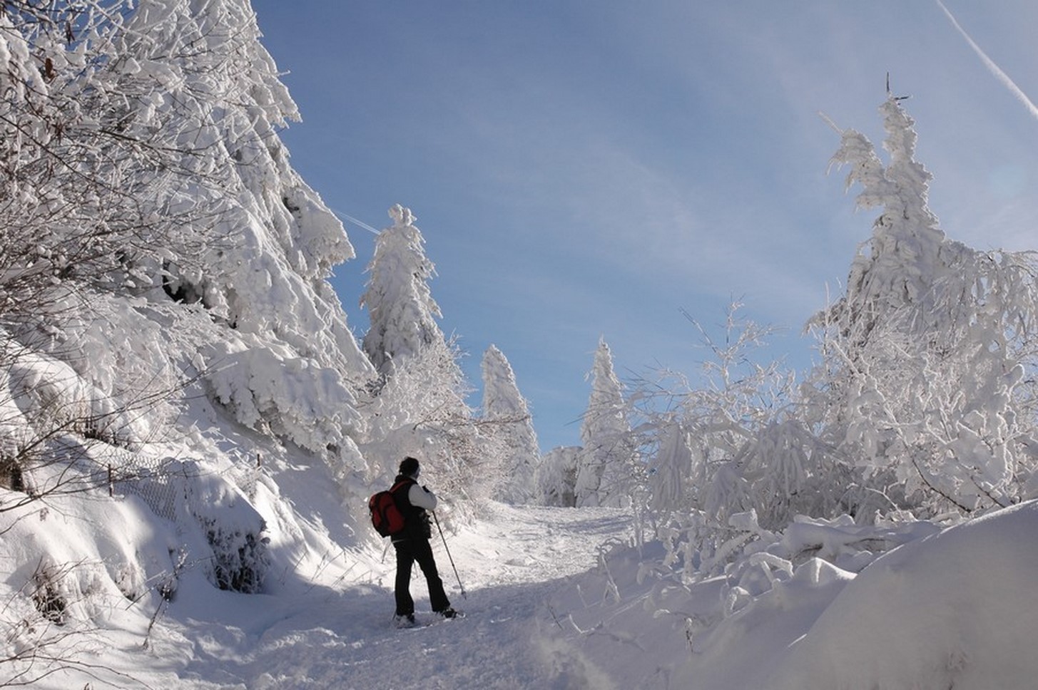 Puy de Dôme - Snowshoe Hiking - Discovery & Magical Change of Scenery