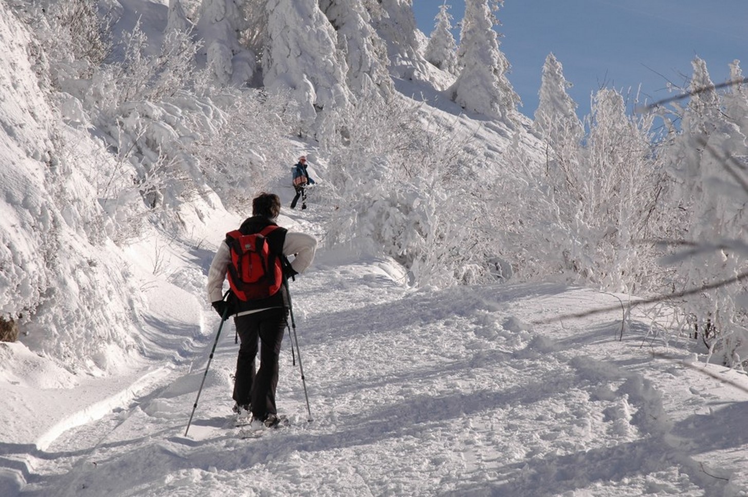 Puy de Dôme - Snowshoe Hiking in the Snow - Magical Experience & Exceptional Views