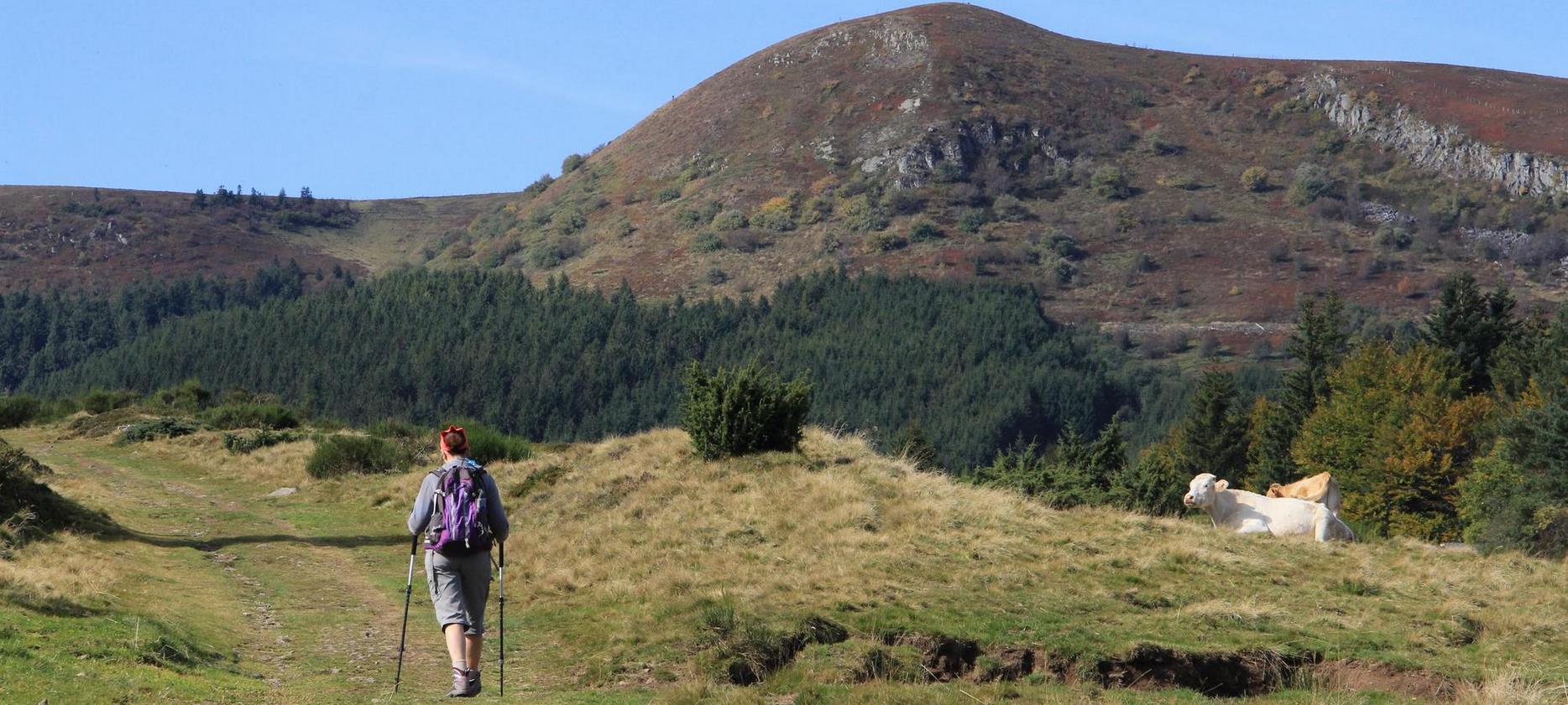 Super Besse - Massif Central Hikes - Natural Discovery