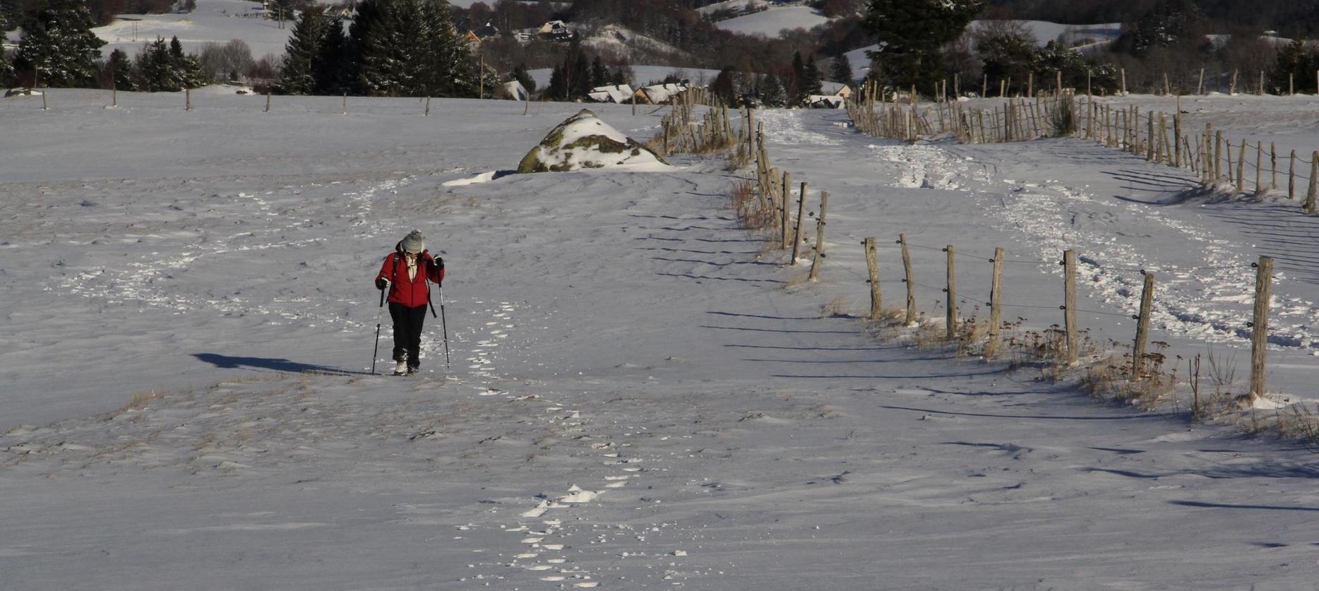 Super Besse - Sancy Snowshoe Hiking - Winter Adventure