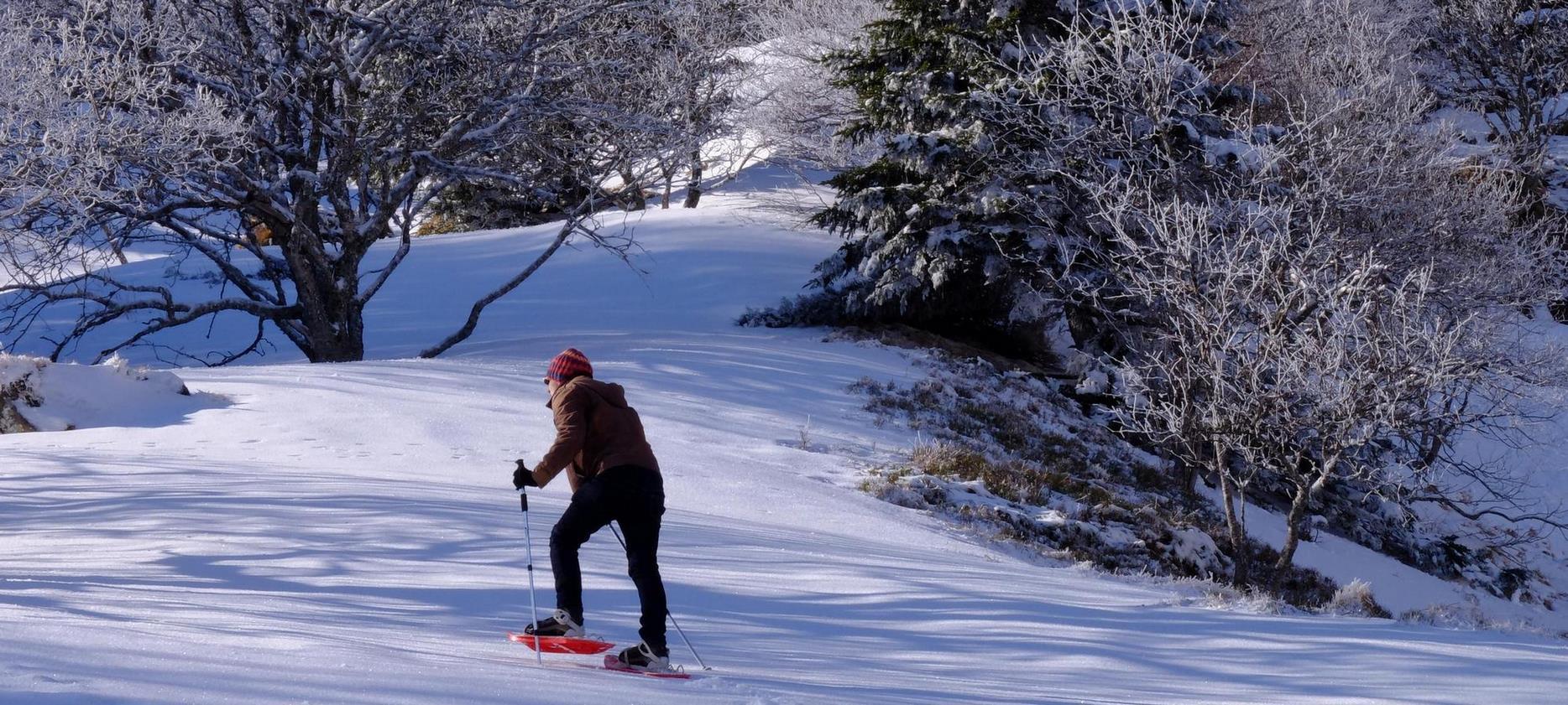 Super Besse - Sancy Snowshoe Hiking - Winter Adventure