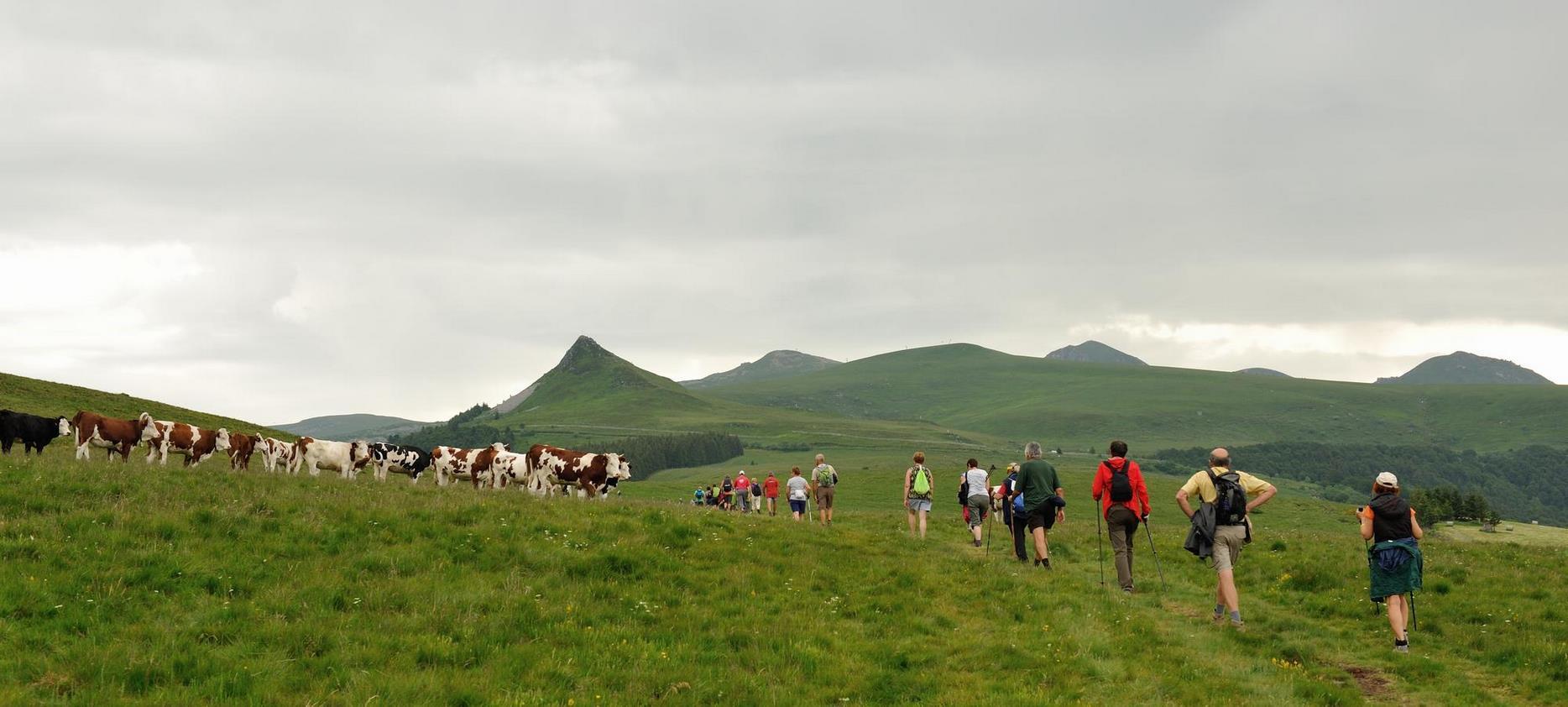 Super Besse - Estives Hike Sancy Natural Park - Natural Discovery