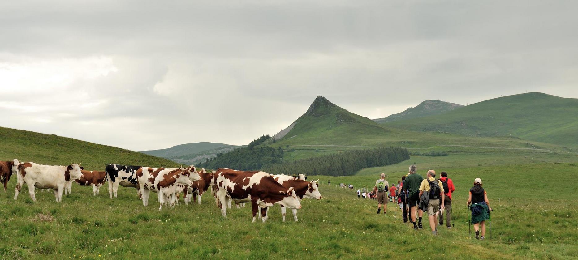 Super Besse - Estives Hike Sancy Natural Park - Natural Discovery