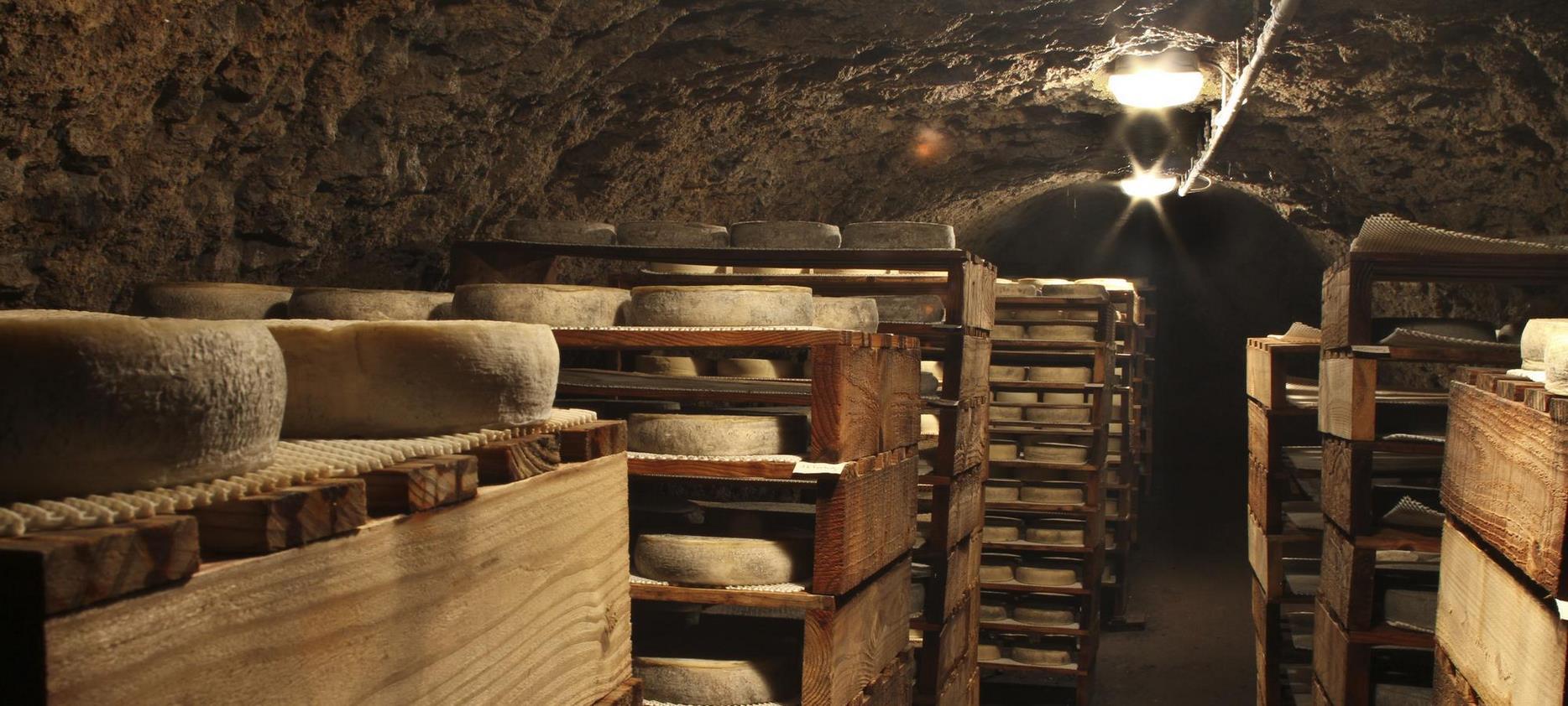 Super Besse - Discovery of the Saint-Nectaire AOP Maturing Cellar - Unique Know-How in Auvergne