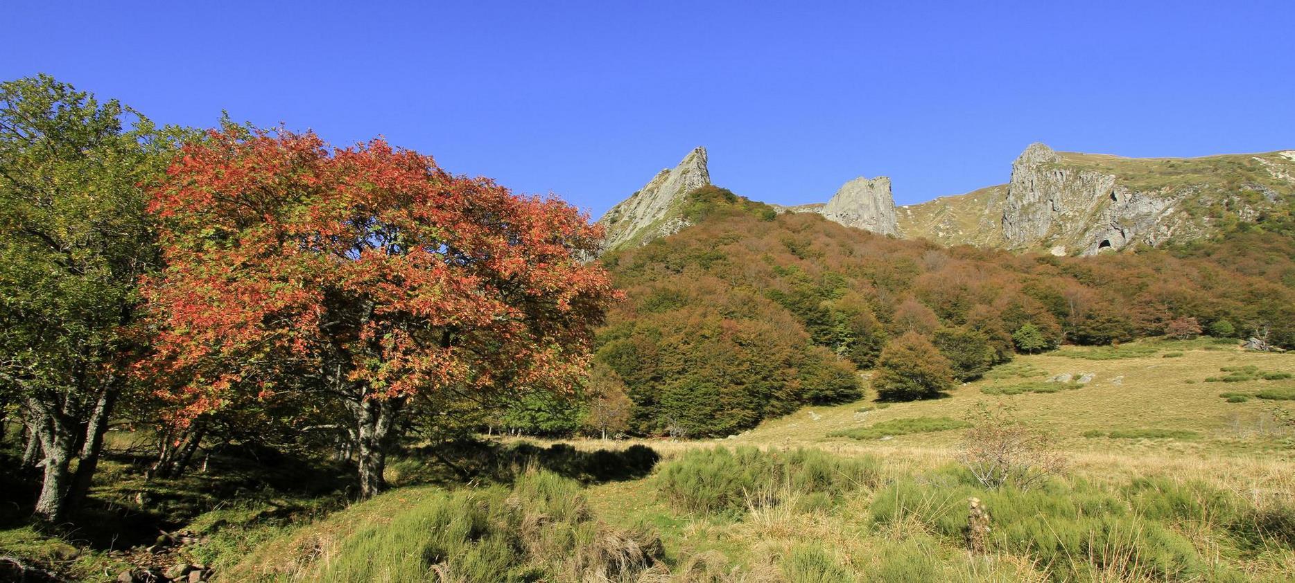 Super Besse: Exploring the Chaudefour Valley Natural Park