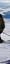 Super Besse: Ski Descent and Impressive View of the Resort