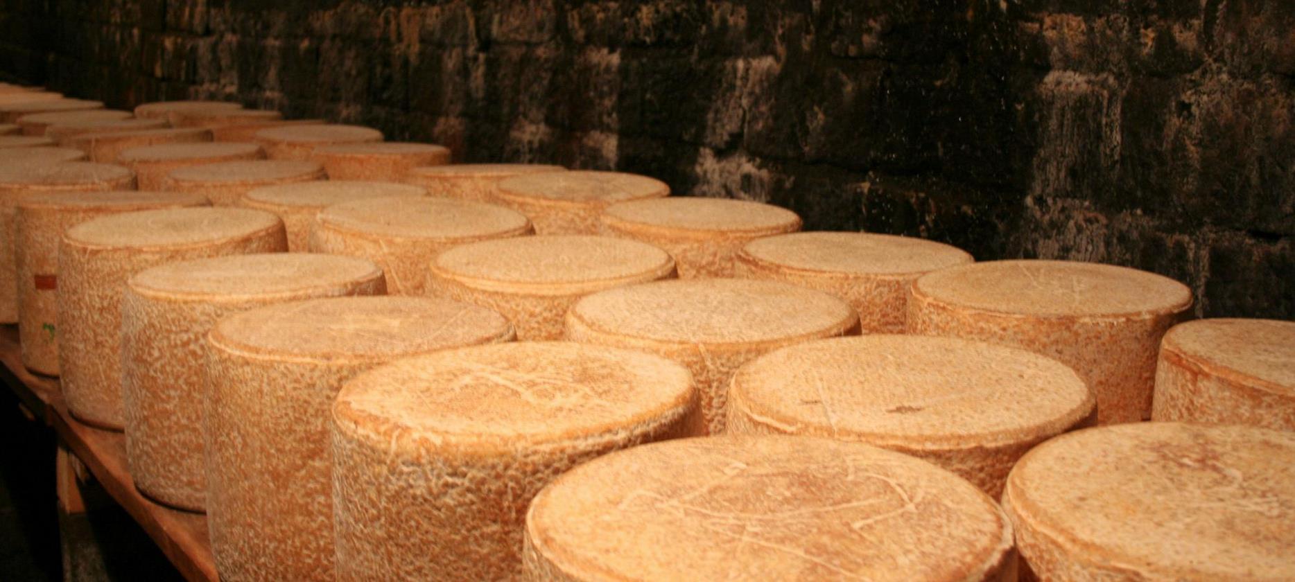 Cantal: Discovery of the Maturing Cellars, Traditional Know-How of Auvergne