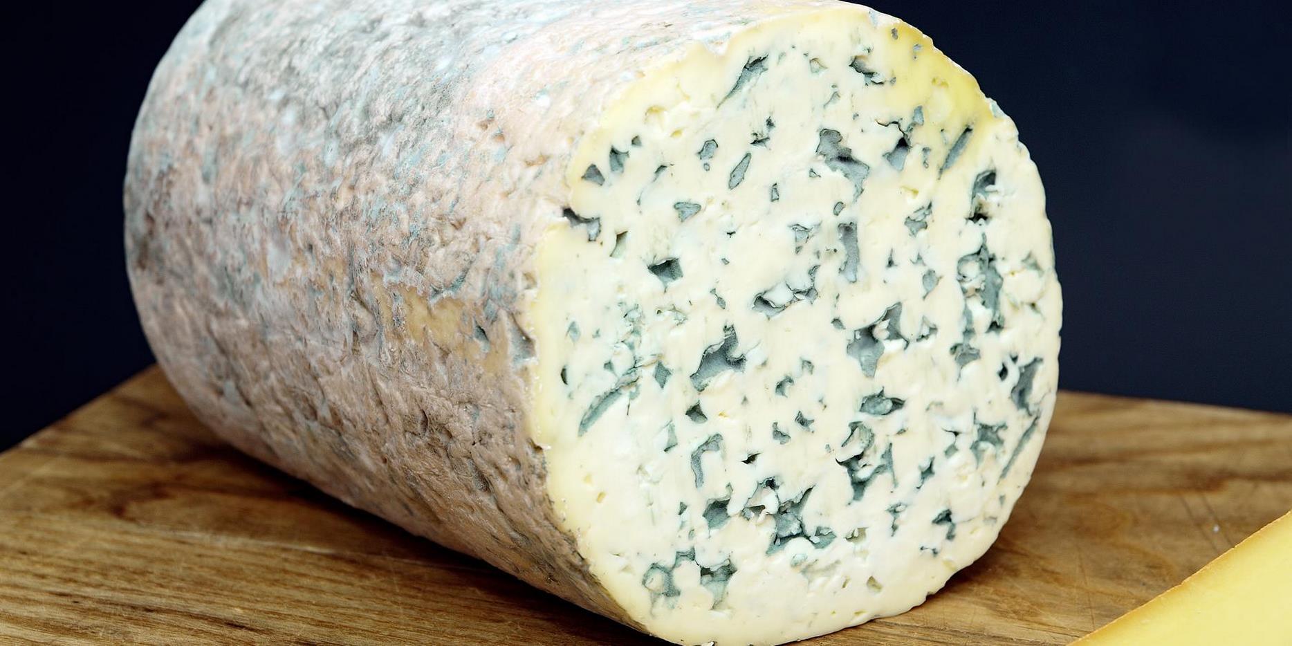 Fourme d'Ambert Farmhouse Cheese with Raw Milk: Authentic Flavor of Auvergne