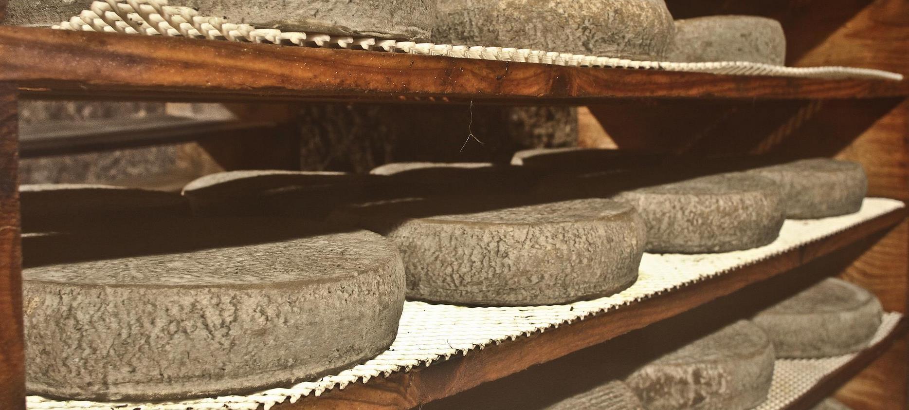 Saint-Nectaire Fermier: Discovery of the Maturing Cellars, Traditional Know-How of Auvergne