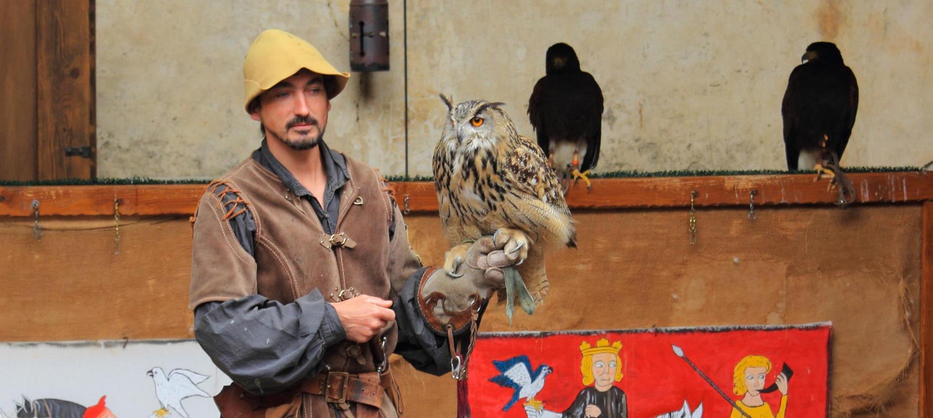 Château de Murol: Enchanting Falconry Show