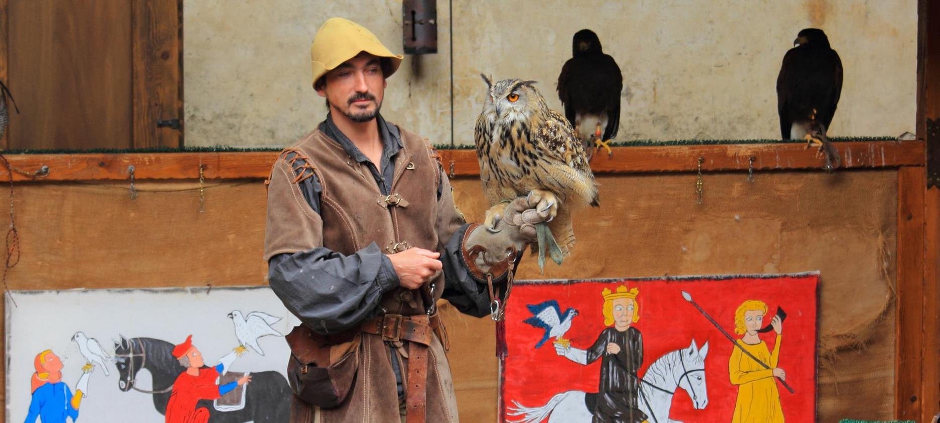 Château de Murol: Spectacular Falconry