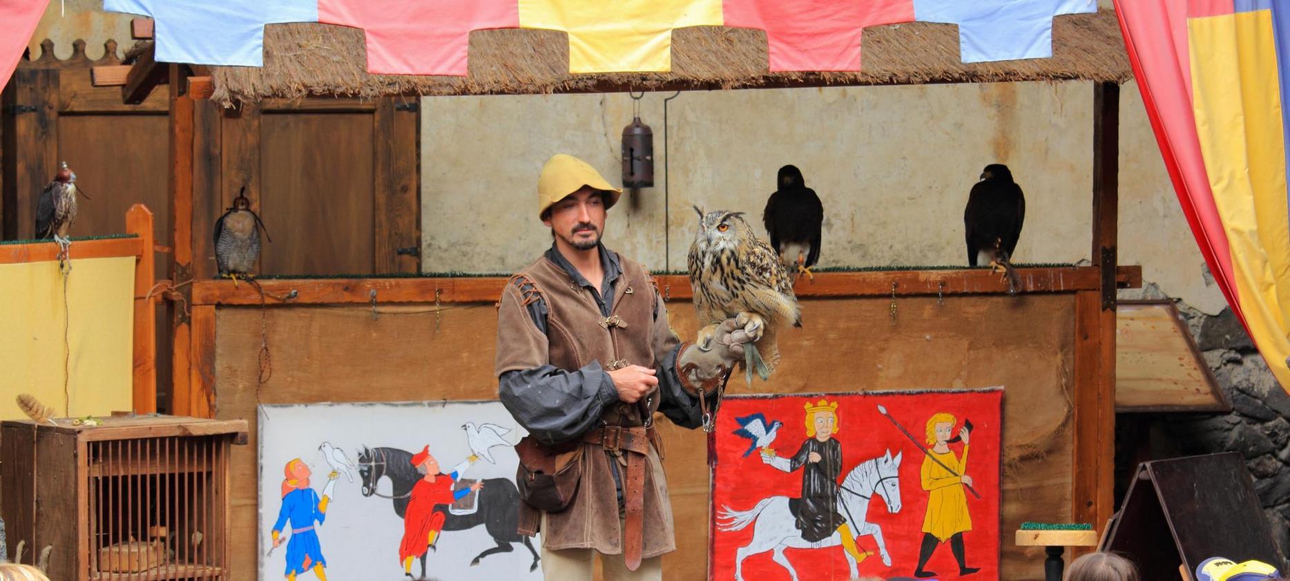 Château de Murol: Enchanting Falconry Show