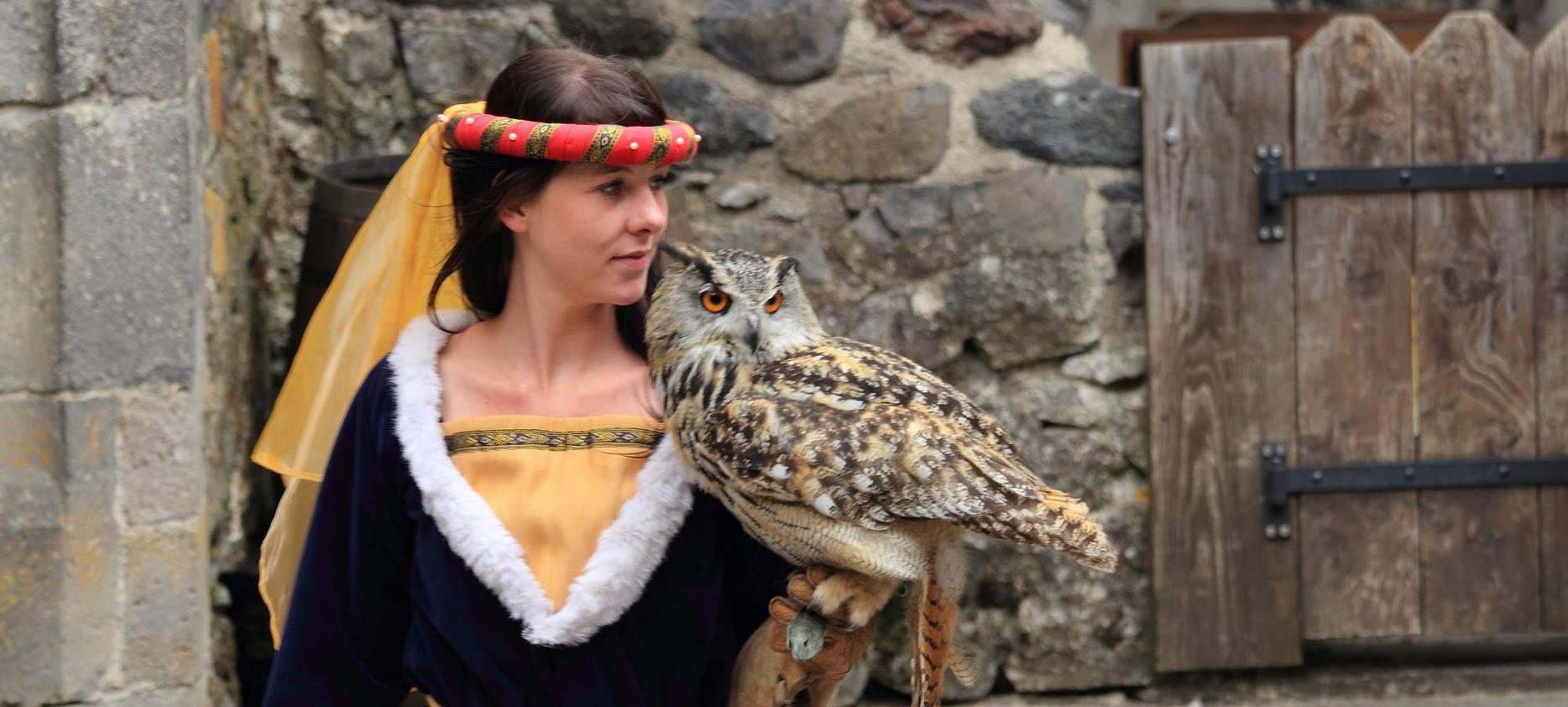 Super Besse: Falconry demonstrations at the Murol Fortress.