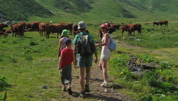 Super Besse - Family Adventure: Discovery of the Fauna and Flora of Mont Dore