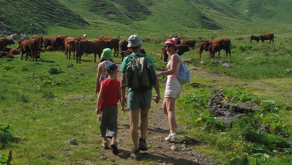 Super Besse - Family Adventure: Discovery of the Fauna and Flora of Mont Dore