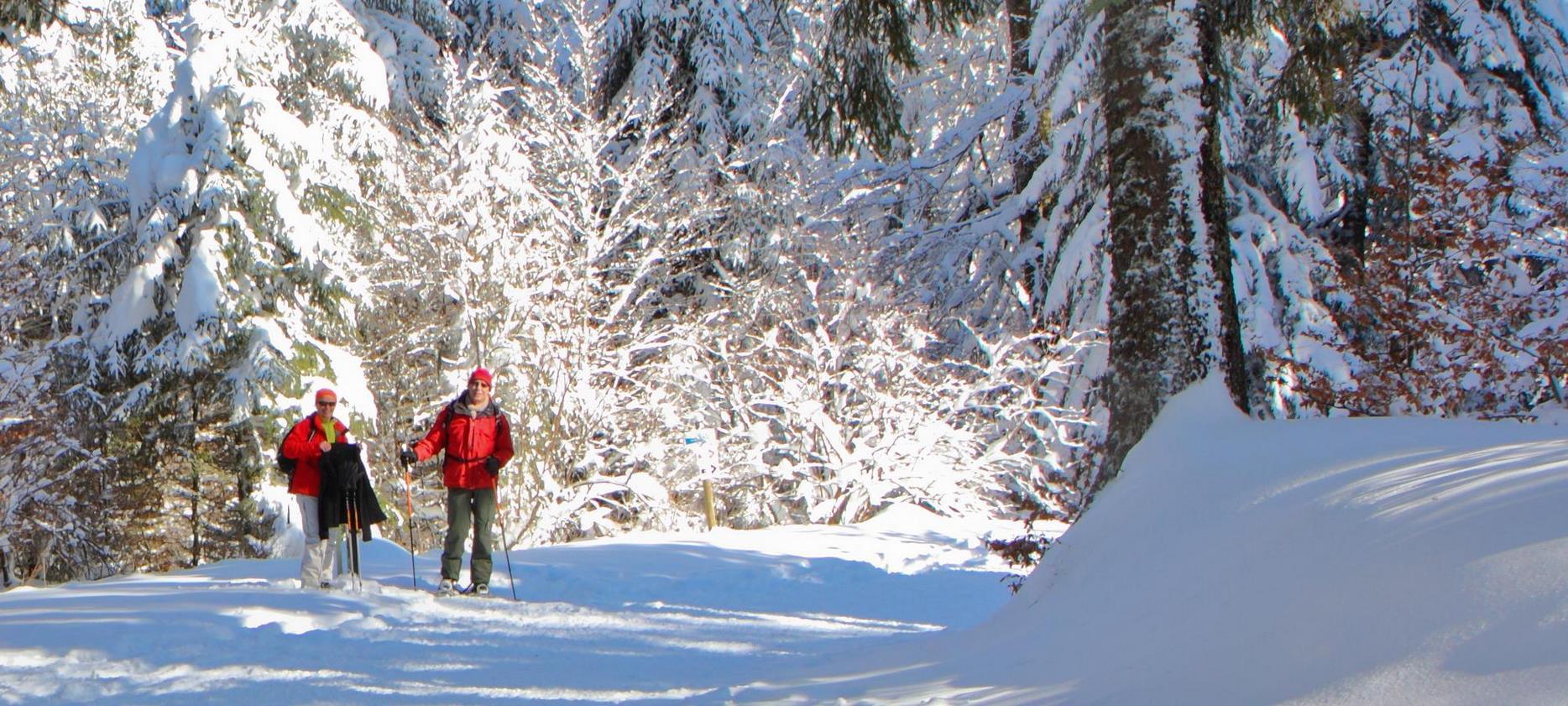 Super Besse - Mont-Dore: Duo Snowshoe Hike, Magical Instant