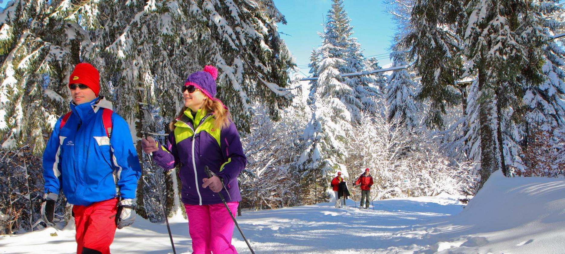 Super Besse - Mont-Dore: Escape on Snowshoes on the Most Beautiful Slopes